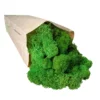 Lichene Stabilizzato Naturale 50gr Natural Green