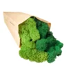 Lichene Stabilizzato Naturale 500gr Mix